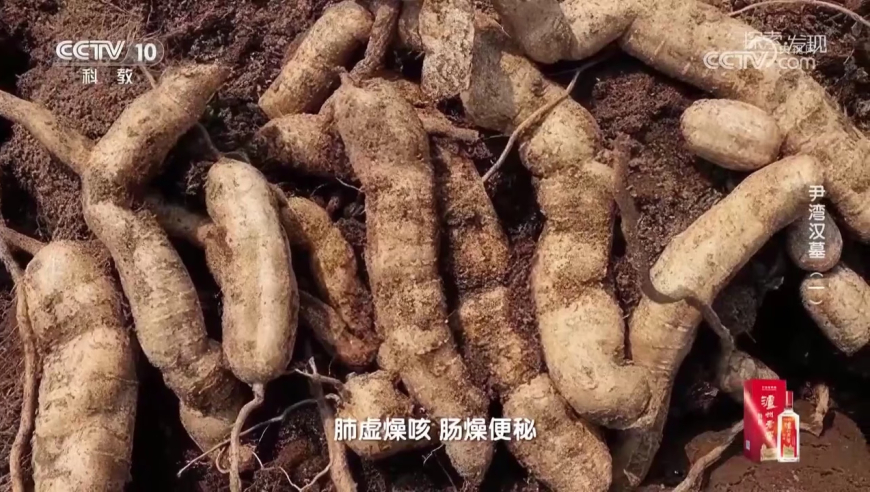 美国爆发大规模集体抗议,澳门彩正版资料网站张天师,广泛的解释落实方法分析_AndroidV12.28